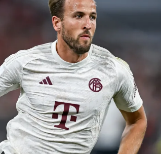 朱婷谈带伤参加奥运：就像一场无法完成的秋收央视体育.