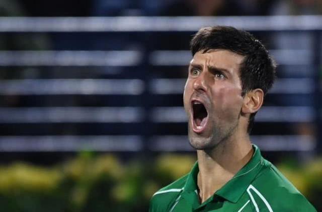 仅展示了无 仅展示了无