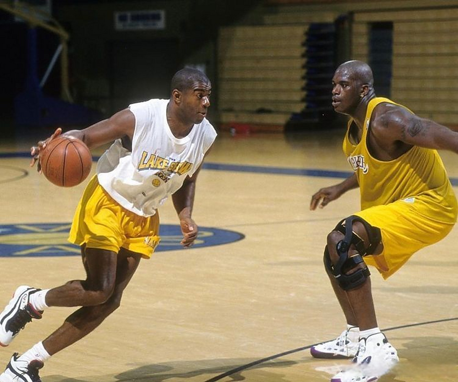 动态总是引 动态总是引