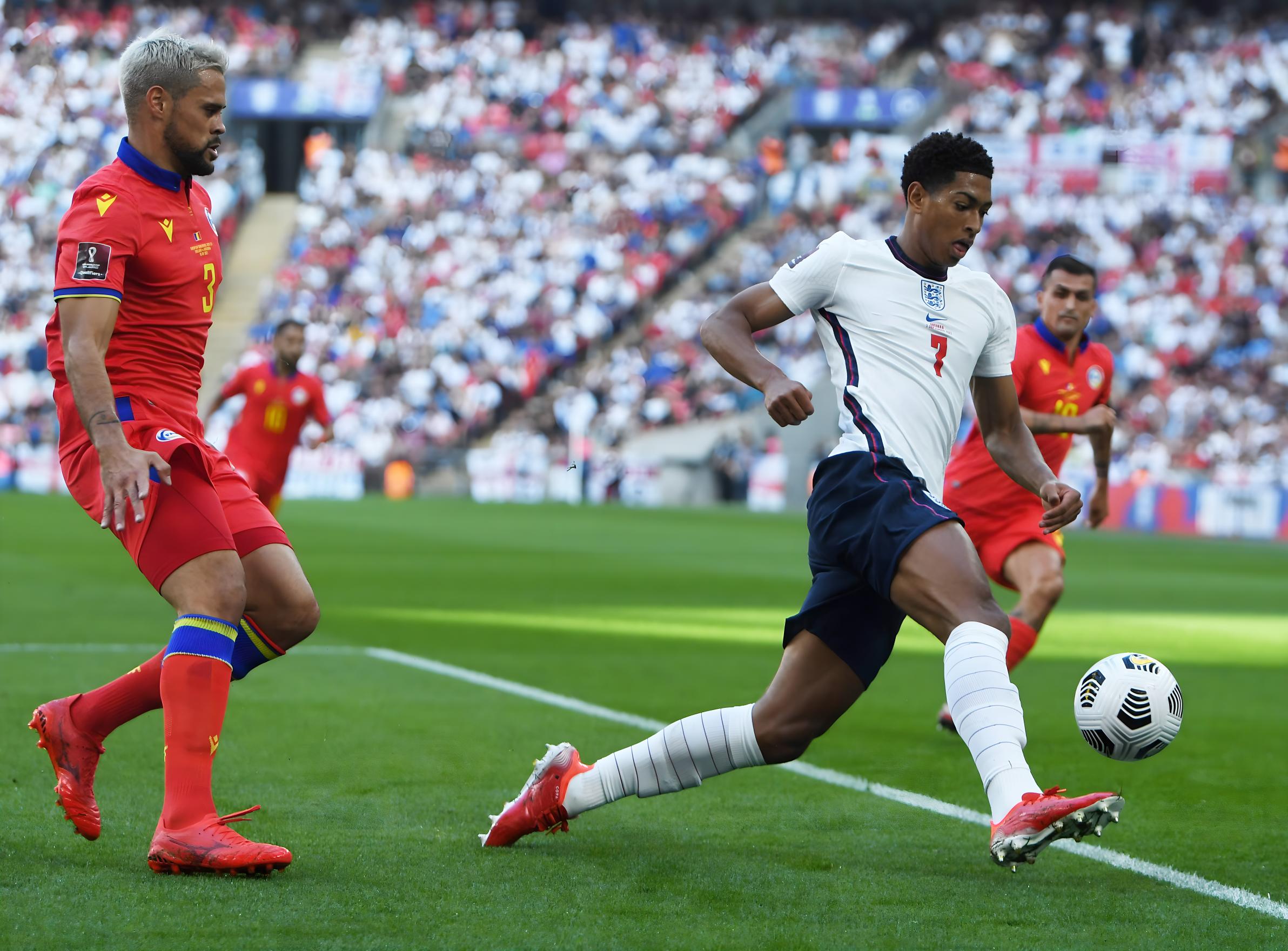 他上演了帽 他上演了帽