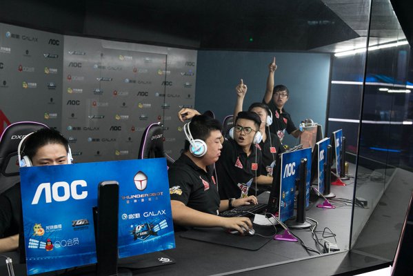 政府为其提 政府为其提