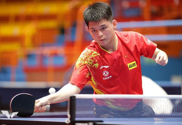 家分析指出 家分析指出